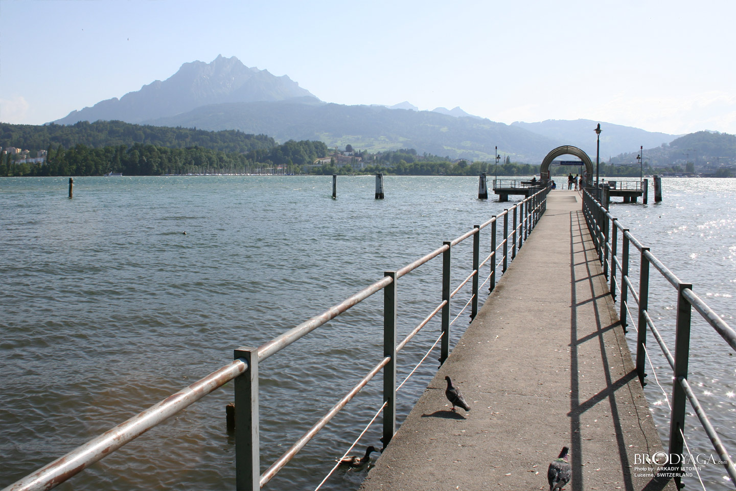 Lucerne